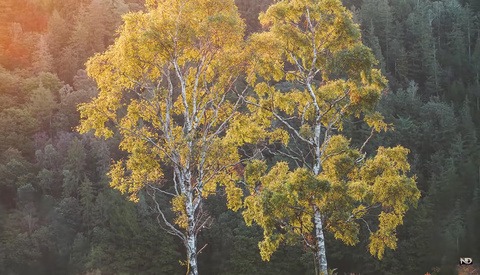 A Photo That Took Two Years to Make