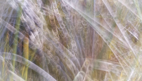 How to Use Photography to Push Boundaries and Express Yourself