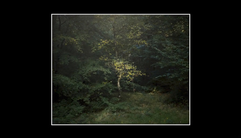 Creating the Perfect Lighting in a Landscape Photograph