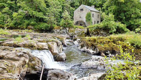 Is the Canon RF 24-105mm f/2.8 the Ultimate All-Purpose Lens?