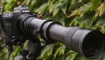 We Review Amazon’s Cheapest Super-Zoom Lens: JINTU 420-800mm f/8.3-16