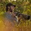 Ryan Mense's picture Ryan Mense's picture