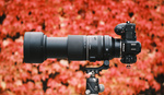 Not Too Big, Not Too Small: We Review the Tamron 150-500mm f/5-6.7 Di III VC VXD for Nikon Z