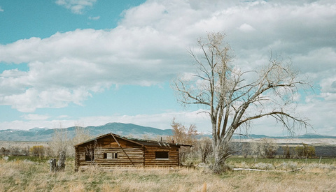 Is Film Photography Worth the Hassle and Expense?