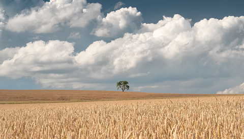 Transforming a Dull Photo into a Dramatic Image