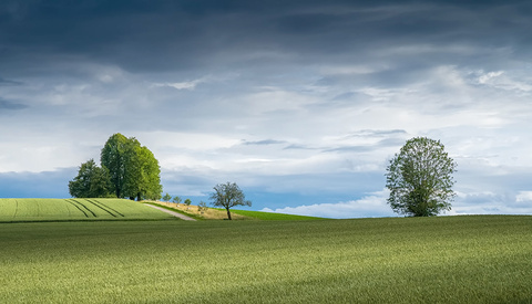 Unlock the Power of Light and Shadow With Lightroom