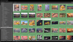 Efficient Photo Management Tips for Lightroom Classic