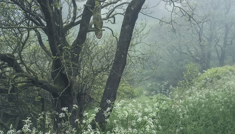 Why Unpopular Choices Can Lead to Unique Photography