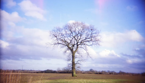 Why Film Photography Still Matters Today