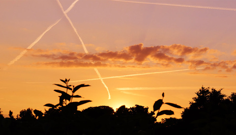 A Review of the Fujifilm XF 16-50mm f/2.8-4.8 R LM WR Lens