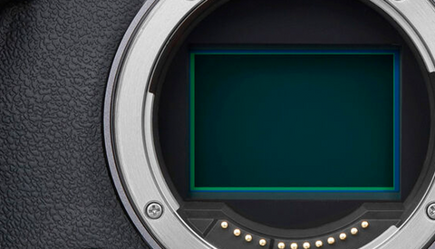 News About Canon's Most Important Cameras Emerges