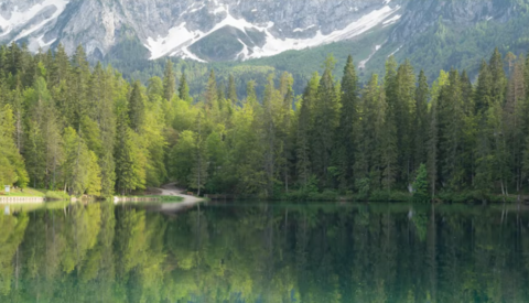 Simple Lightroom Tricks for Sharper, Cleaner Photos