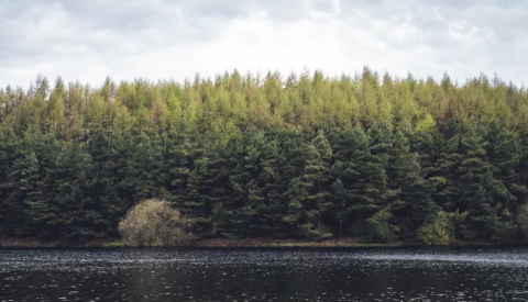 Find Hidden Photography Gems With the Red Car Theory